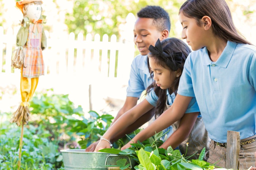 A global Harvest festival: Primary schools celebrate with new digital resources